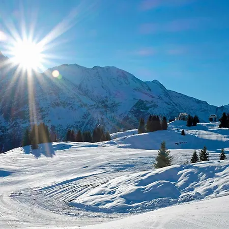 Apartment Jardins D'androsace 17 - Happy Chamonix