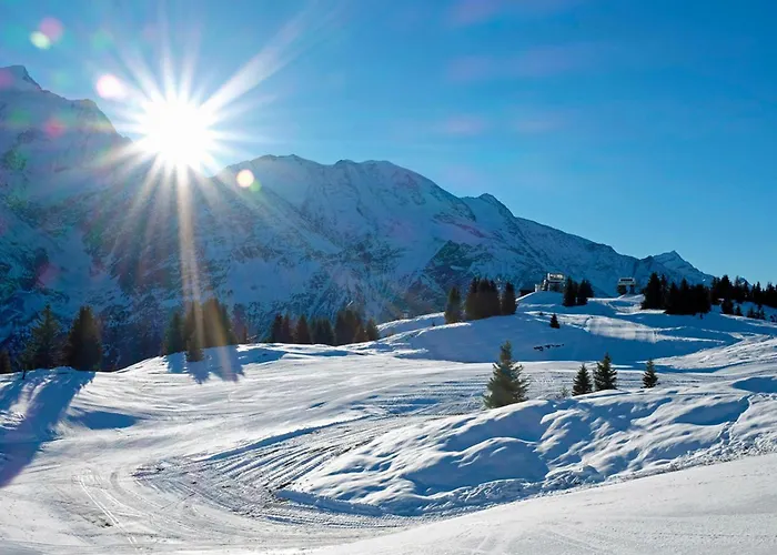 Jardins D'androsace 17 - Happy شامونكس