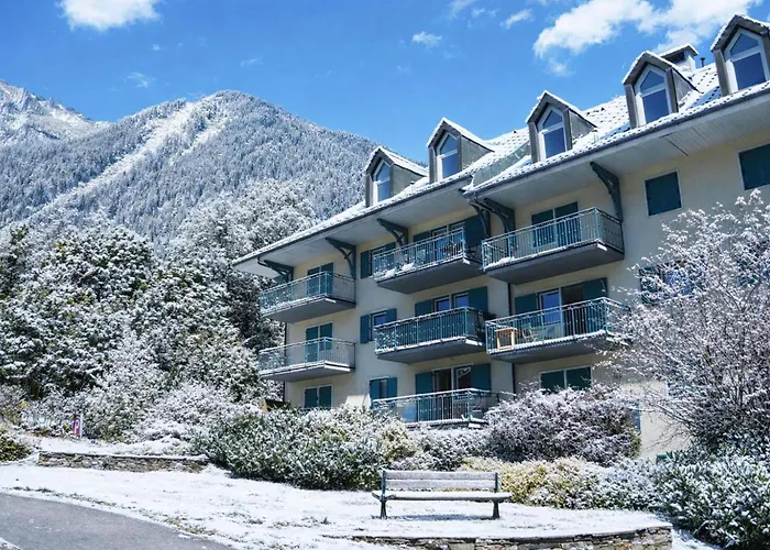 Jardins D'androsace 17 - Happy *