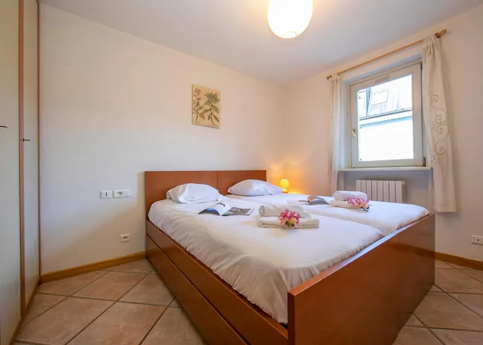 Jardins D'androsace 17 - Happy *